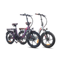 FAFREES F20 Pro električni bicikl 20" 250W, ljubičasto-zeleni